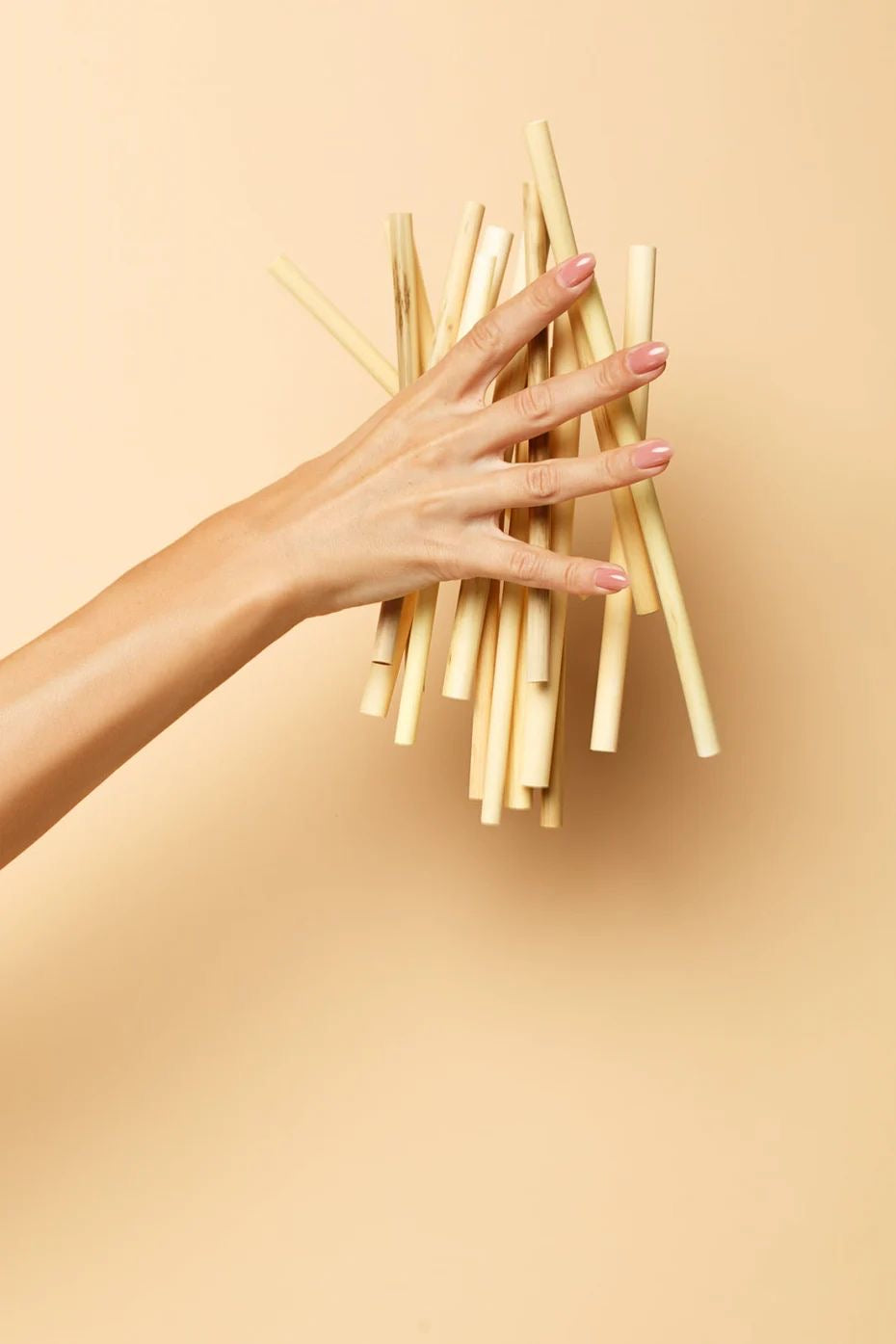 Bamboo Straws | Natural Straws | Sustainable & Reusable Drinking Straw for Eco-Friendly Living | Set of 6