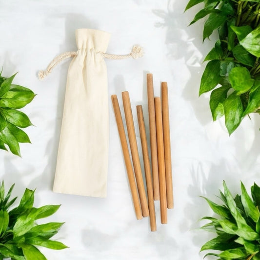 Bamboo Straws | Natural Straws | Sustainable & Reusable Drinking Straw for Eco-Friendly Living | Set of 6