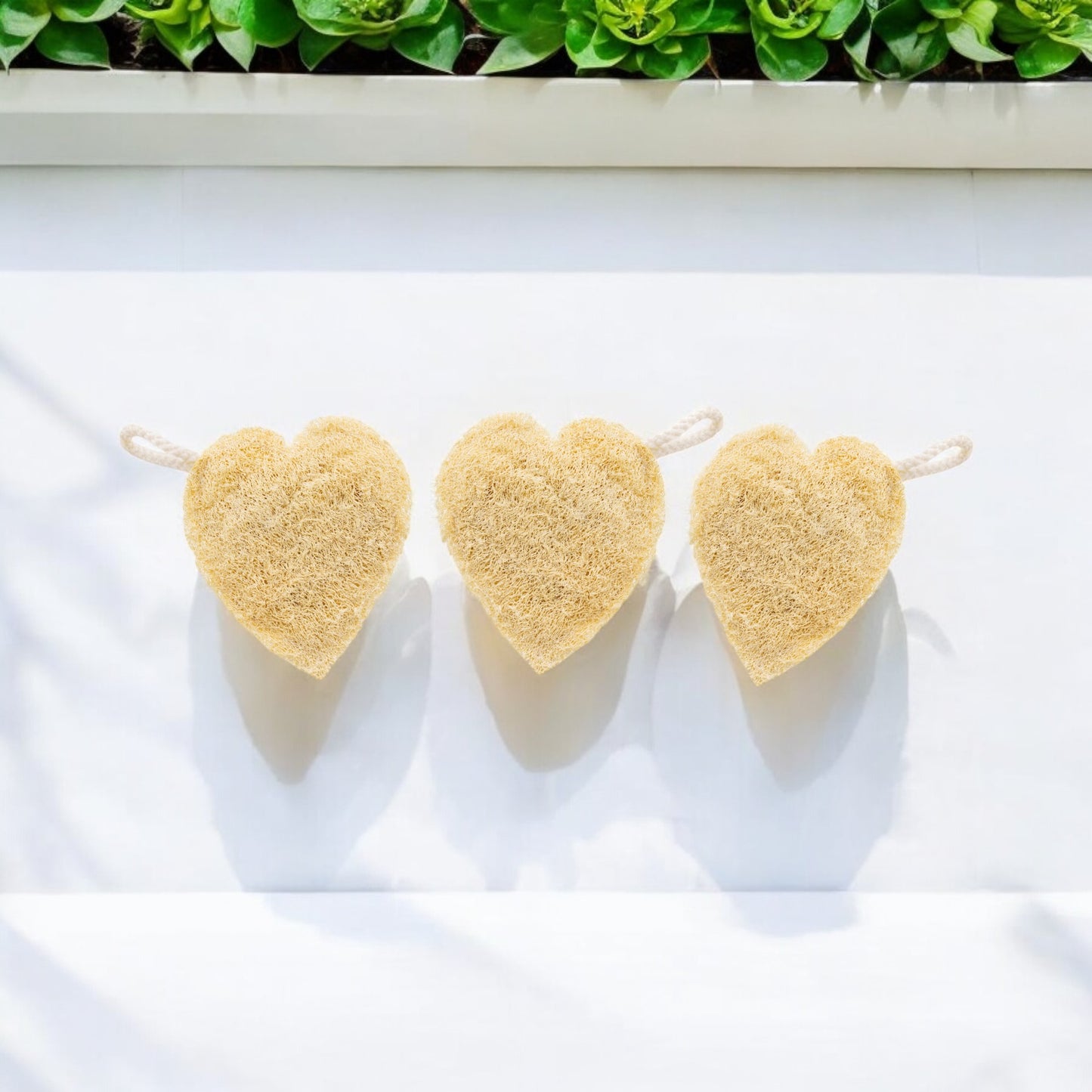 Natural Loofah| Eco-Friendly Exfoliating Sponge|  Bath Essentials