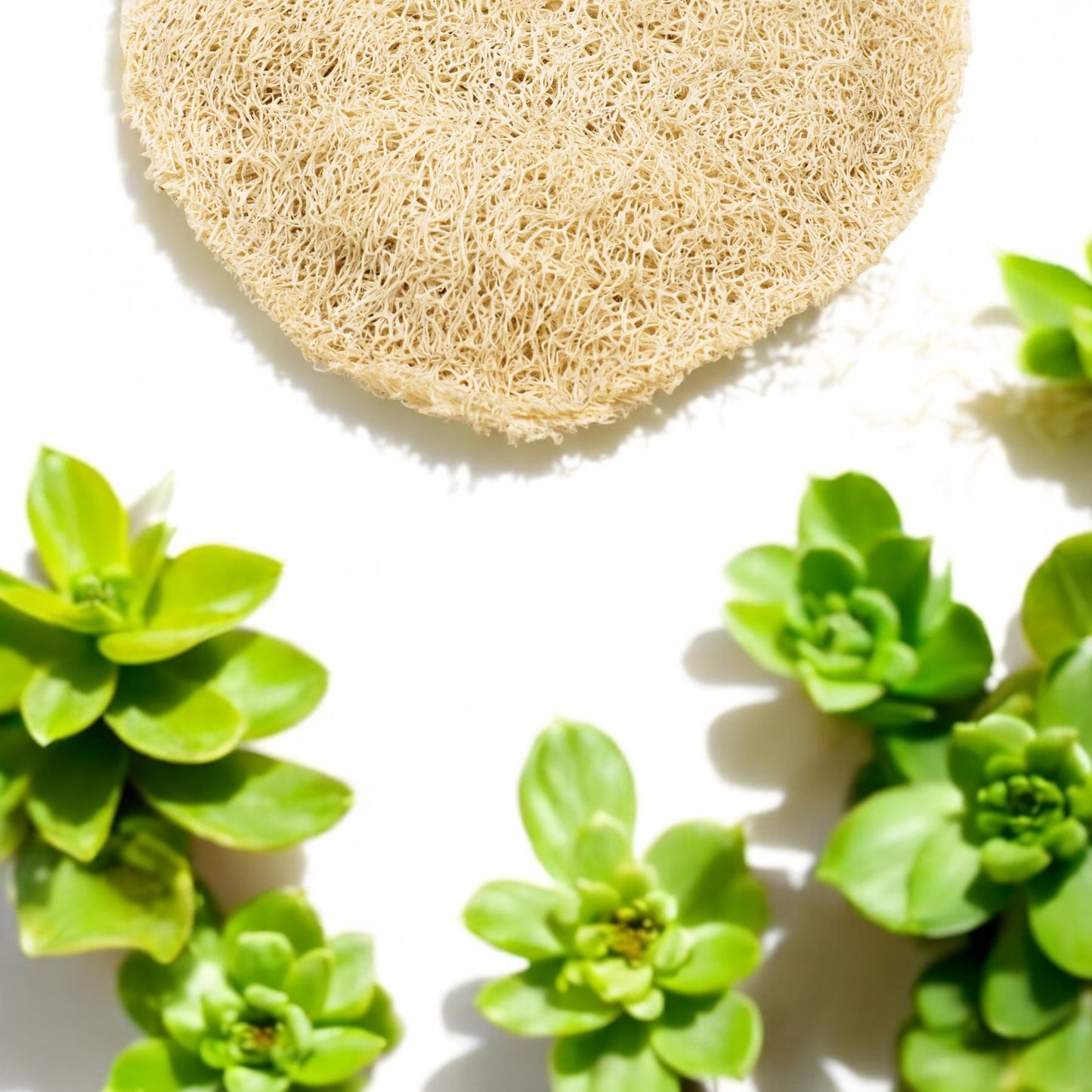 Natural Loofah| Eco-Friendly Exfoliating Sponge|  Bath Essentials
